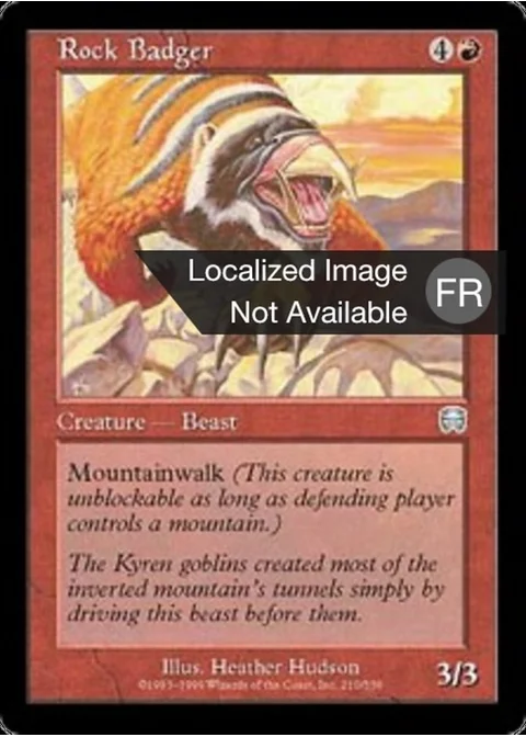 Blaireau des rochers