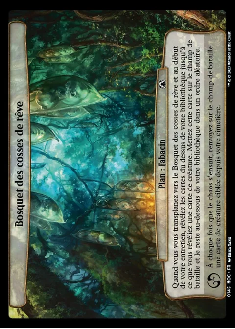 Bosquet des cosses de rêve