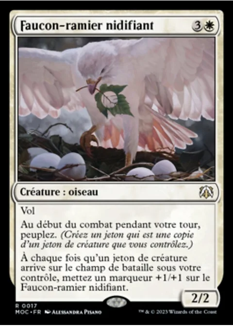 Faucon-ramier nidifiant