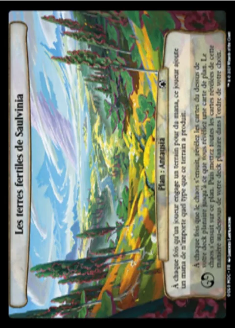 Les terres fertiles de Saulvinia