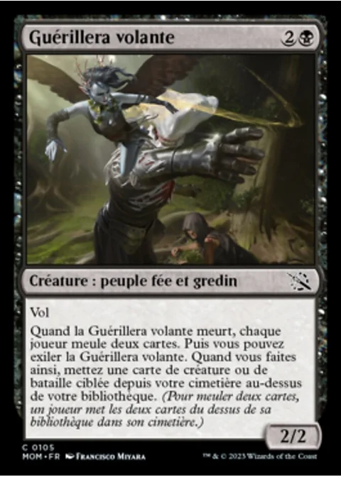 Guérillera volante