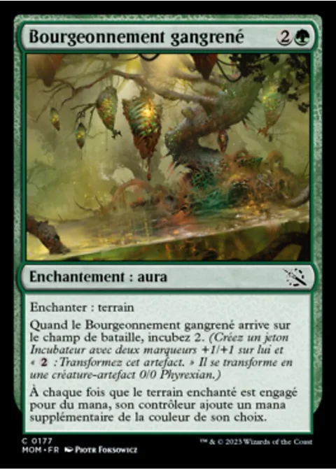 Bourgeonnement gangrené