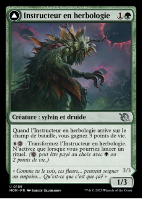 Instructeur en herbologie