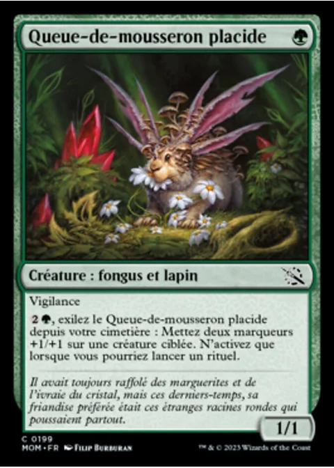 Queue-de-mousseron placide