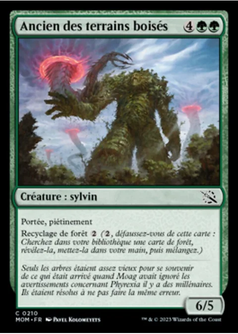 Ancien des terrains boisés