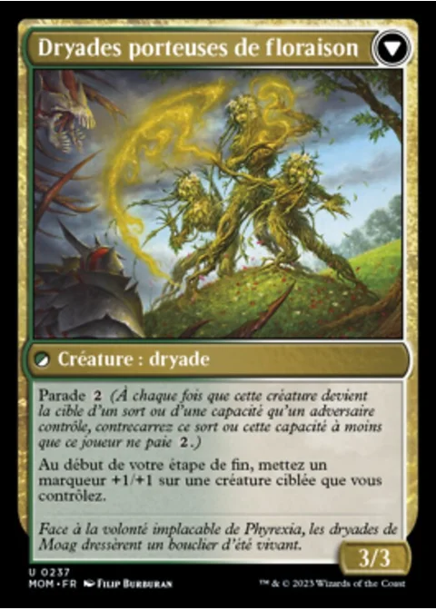 Dryades porteuses de floraison