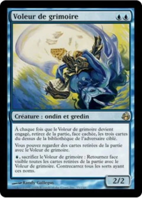 Voleur de grimoire