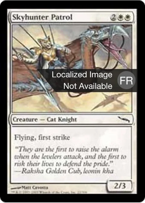 Patrouille chasseciel