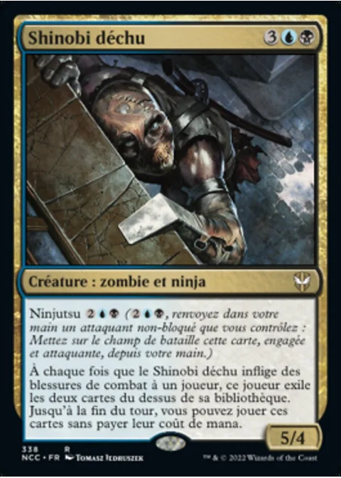Shinobi déchu