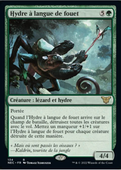 Hydre à langue de fouet