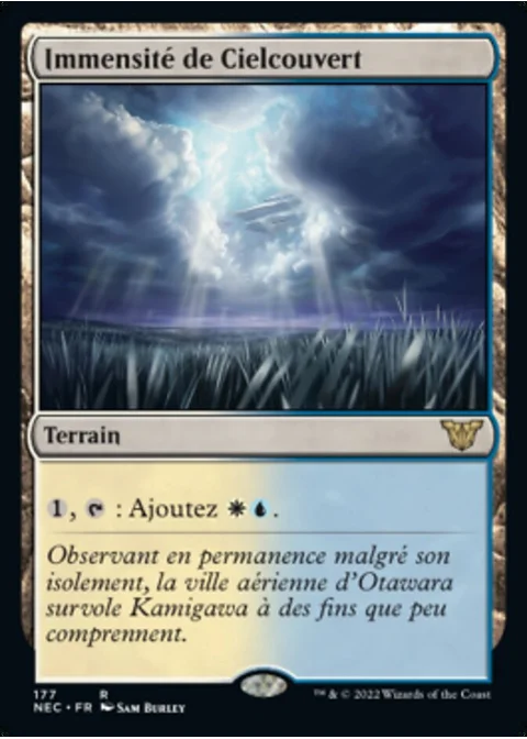 Immensité de Cielcouvert
