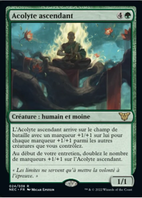 Acolyte ascendant