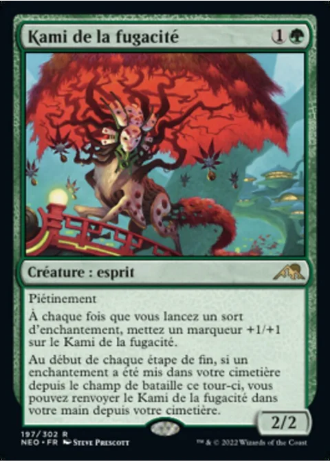 Kami de la fugacité