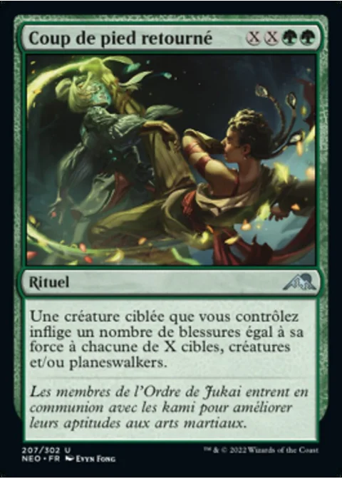 Coup de pied retourné