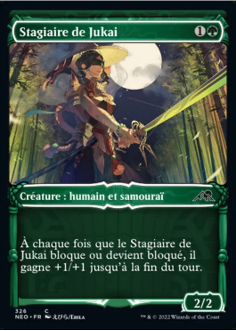 Stagiaire de Jukai