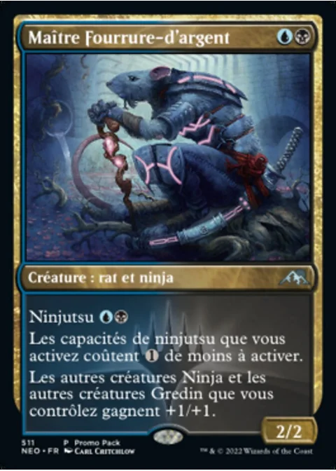 Maître Fourrure-d'argent