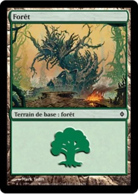 Forêt