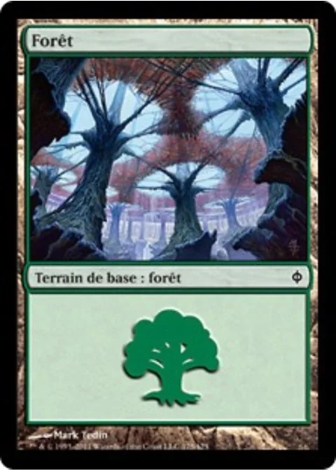 Forêt