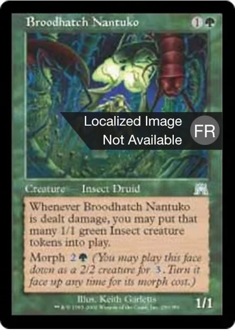 Nantuko de la couvée