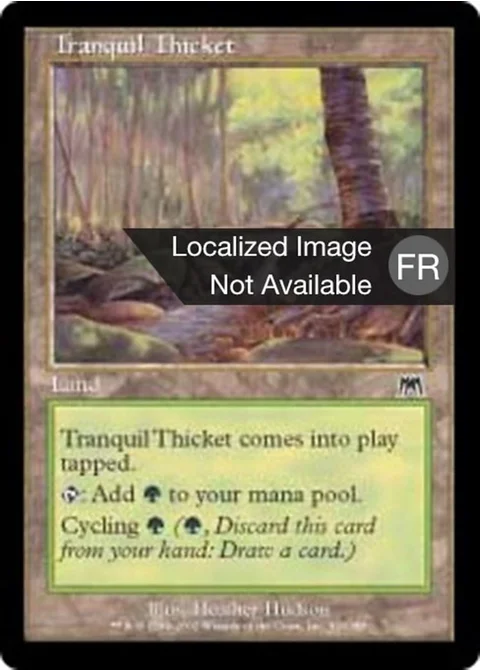 Halliers tranquilles