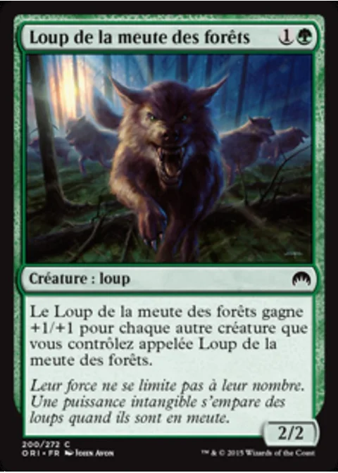 Loup de la meute des forêts