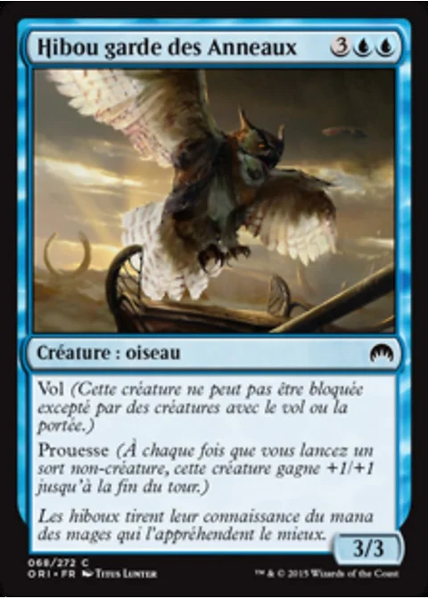 Hibou garde des Anneaux