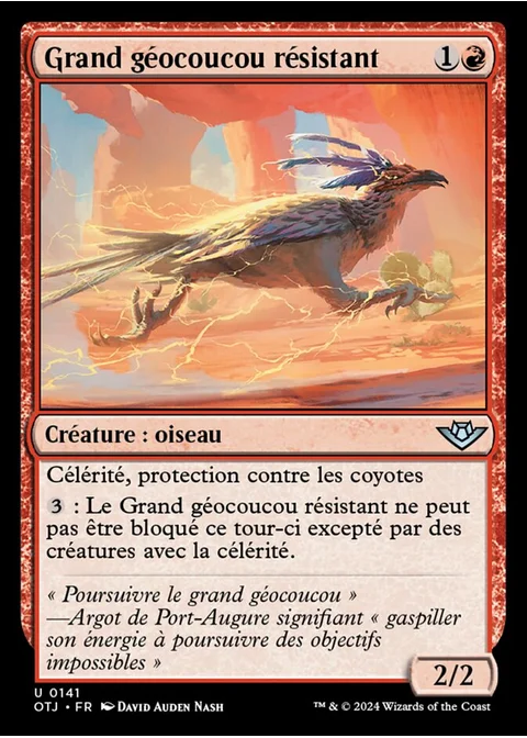 Grand géocoucou résistant