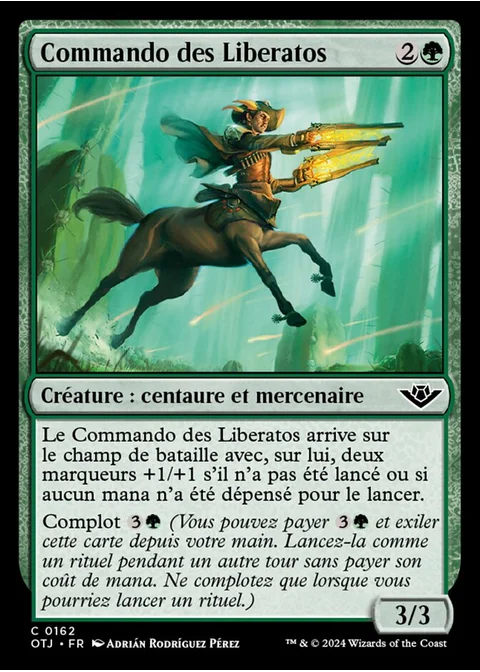 Commando des Liberatos