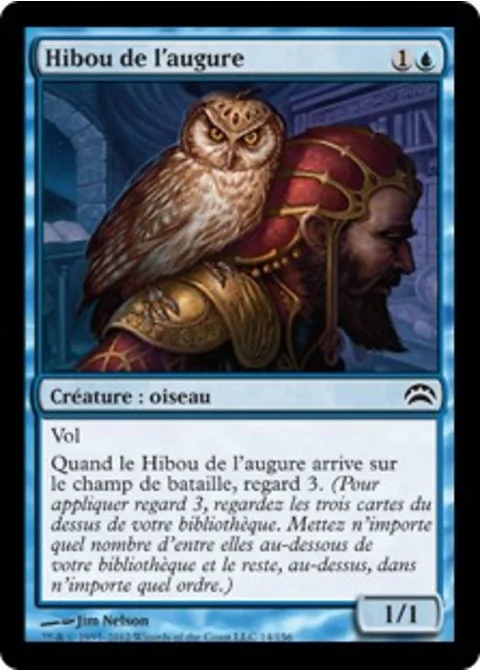 Hibou de l'augure