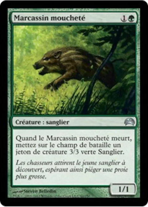 Marcassin moucheté