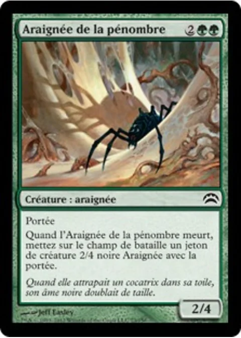 Araignée de la pénombre