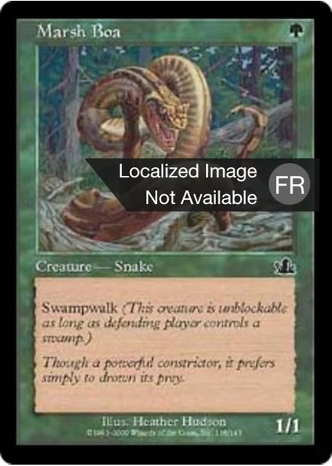 Boa des marécages