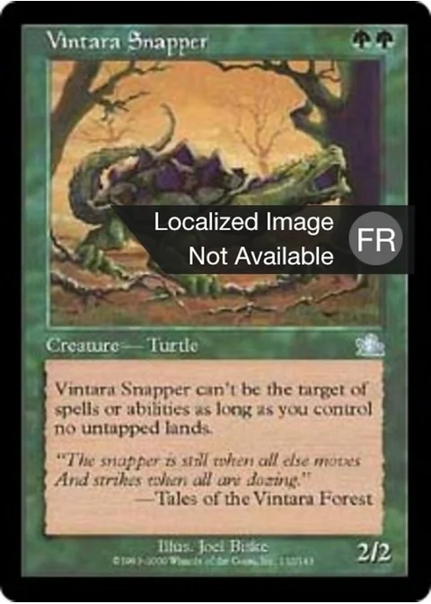 Tortue claqueuse de Vintara