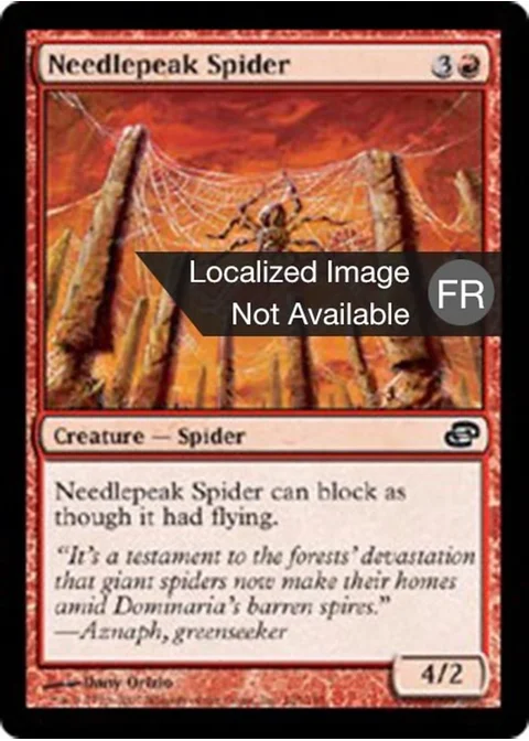 Araignée des aiguilles rocheuses