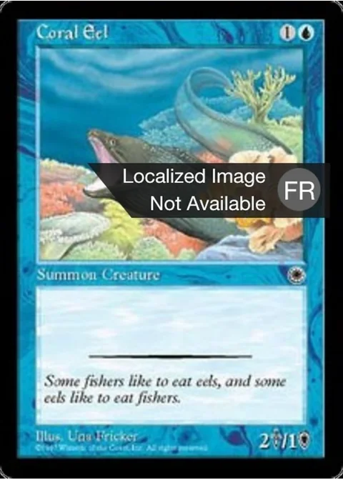 Anguille des coraux