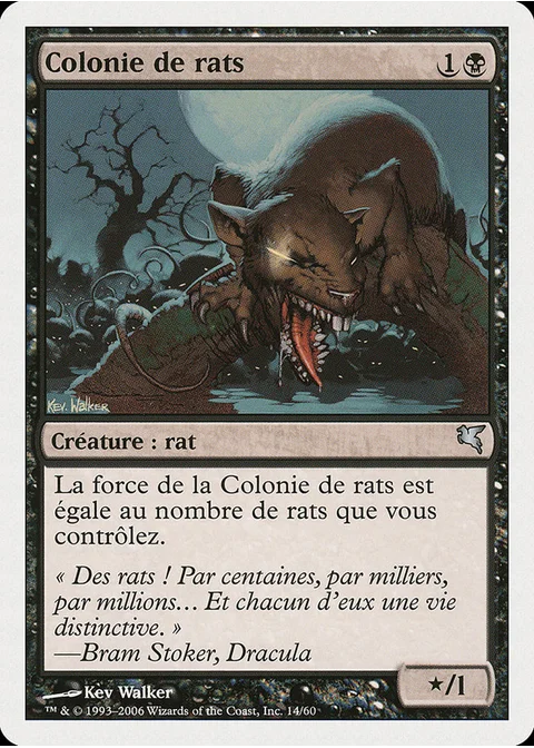 Colonie de rats