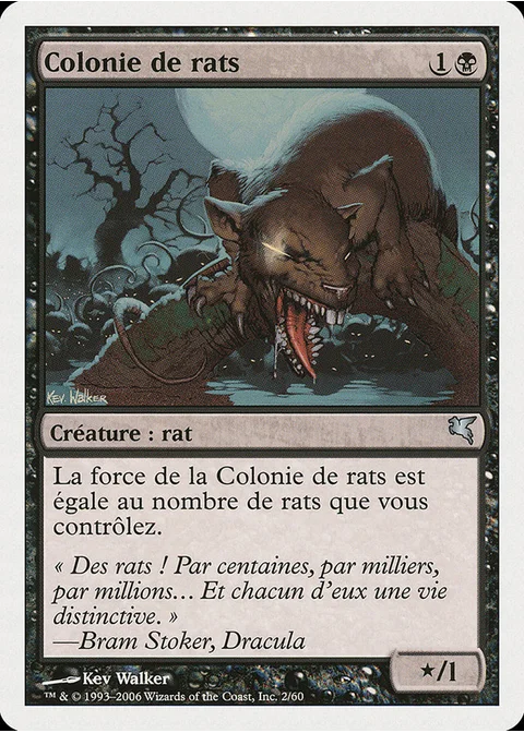 Colonie de rats