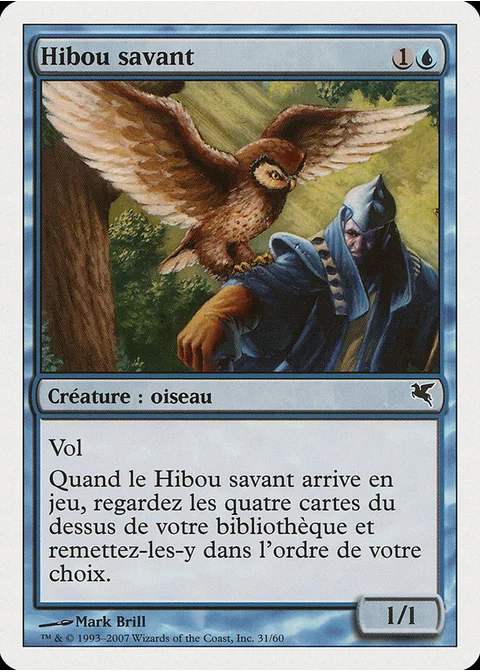 Hibou savant