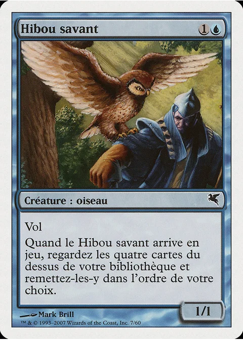 Hibou savant