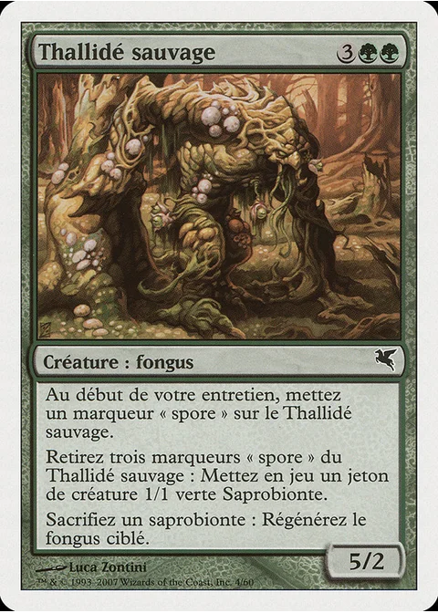 Thallidé sauvage