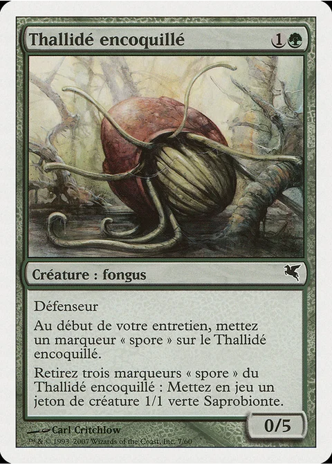 Thallidé encoquillé