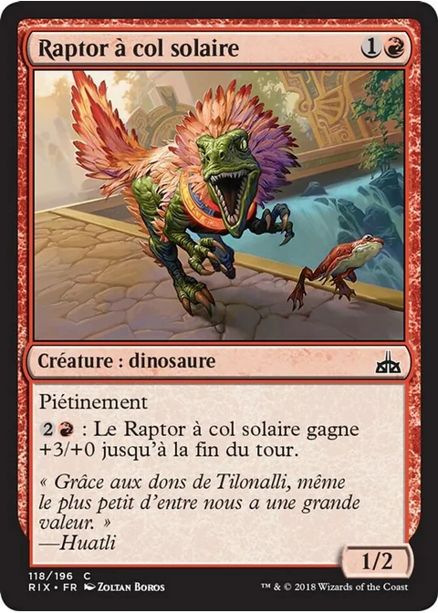 Raptor à col solaire