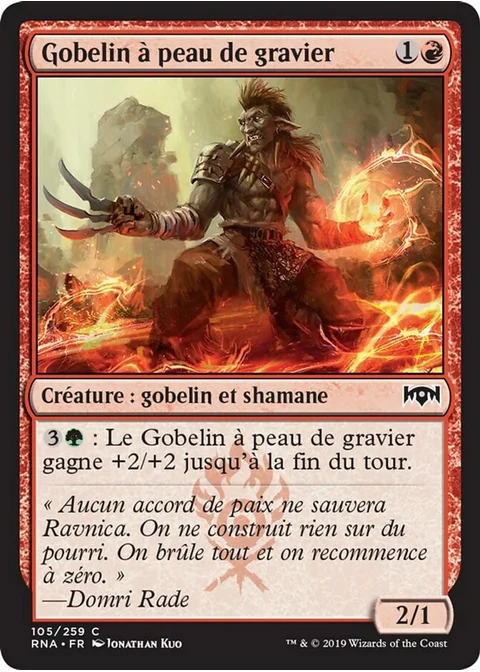 Gobelin à peau de gravier