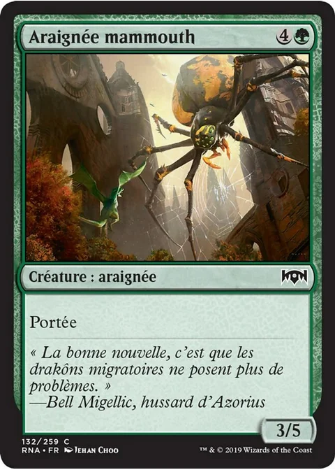 Araignée mammouth