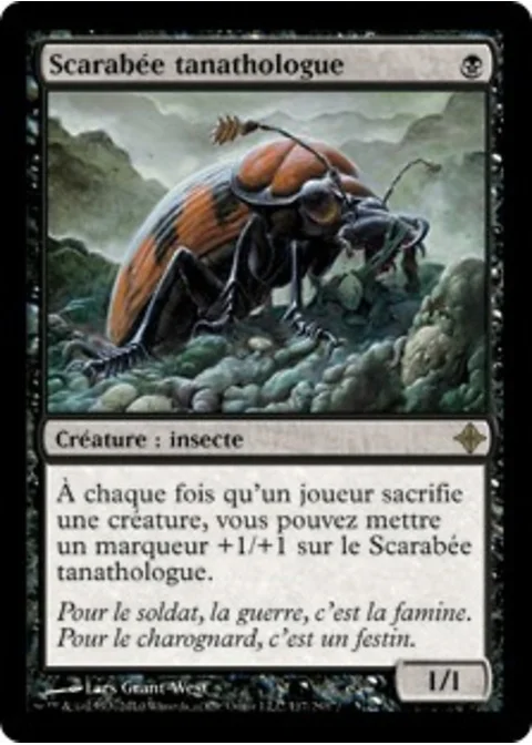 Scarabée tanathologue