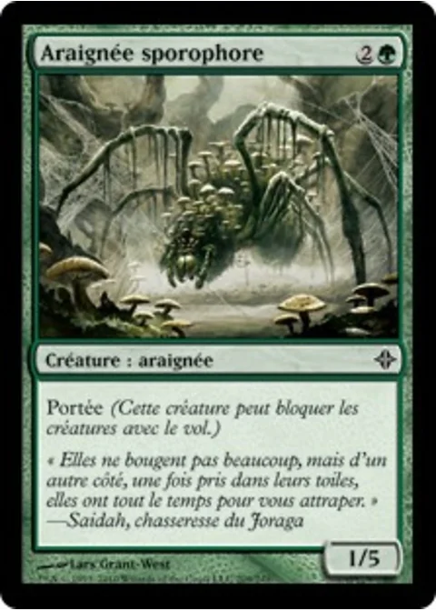 Araignée sporophore