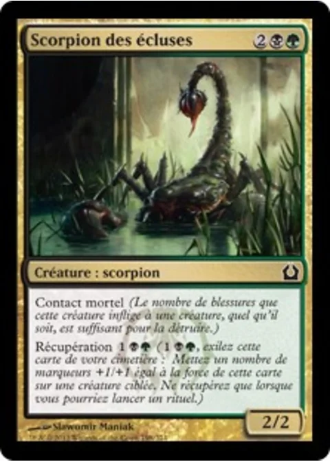 Scorpion des écluses