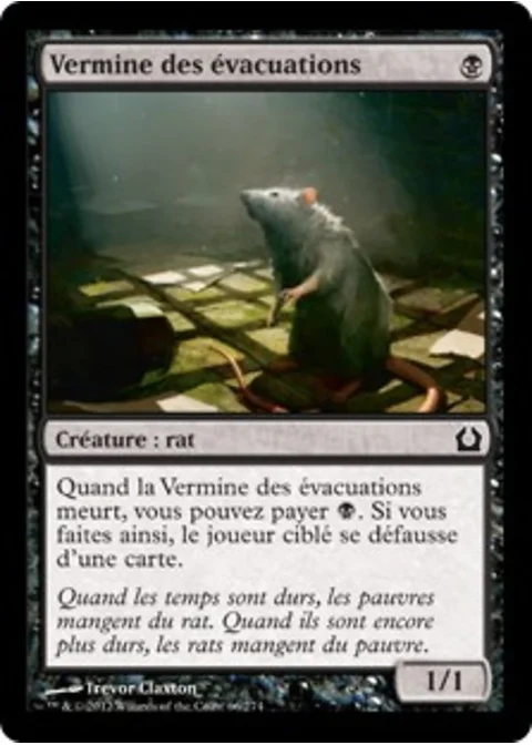 Vermine des évacuations