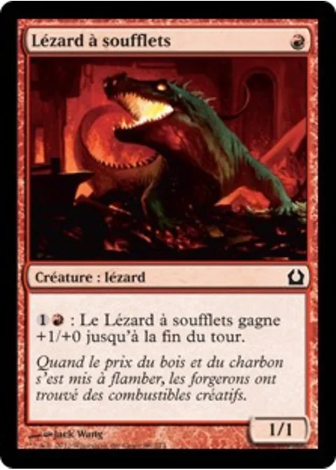 Lézard à soufflets