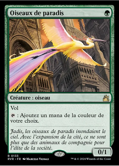 Oiseaux de paradis